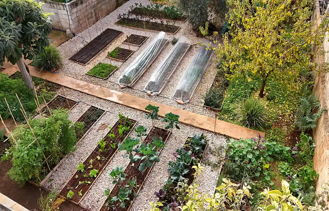 Real Ayki garden, view 1