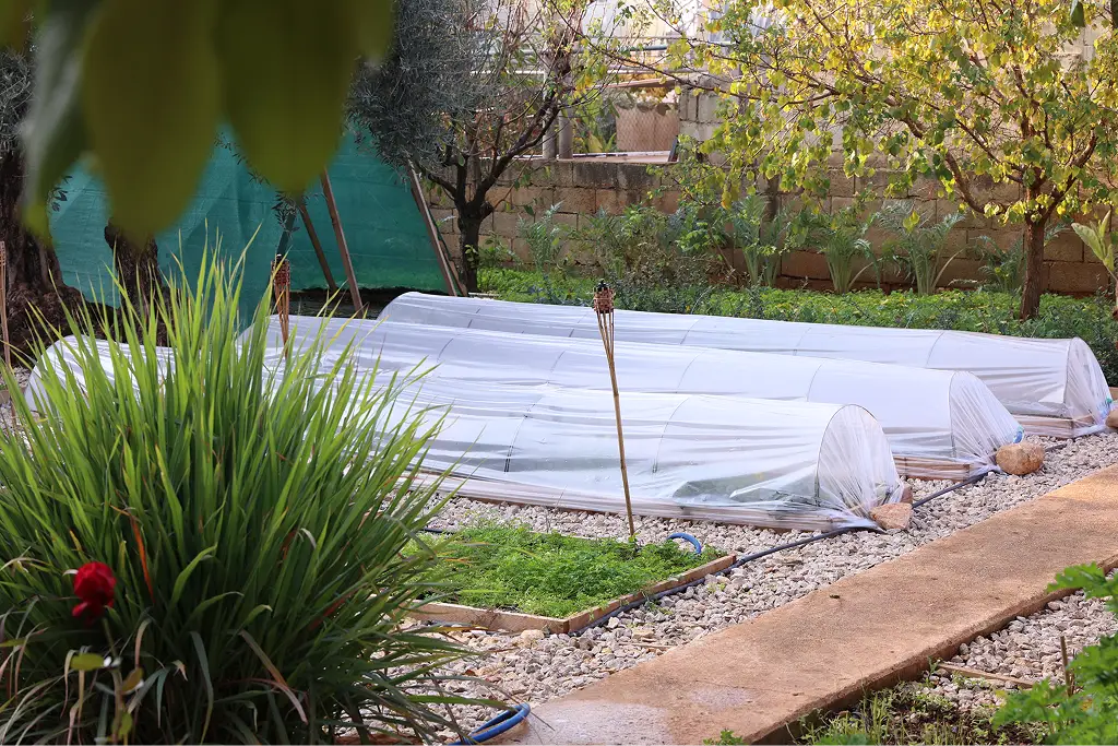 Real Ayki garden, view 2
