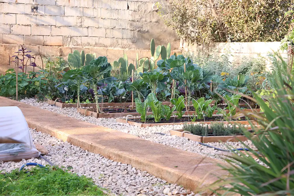 Real Ayki garden, view 3