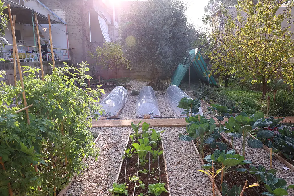 Real Ayki garden, view 4